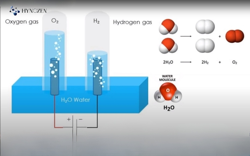 Khám phá cơ chế phân tử của nước hydro
