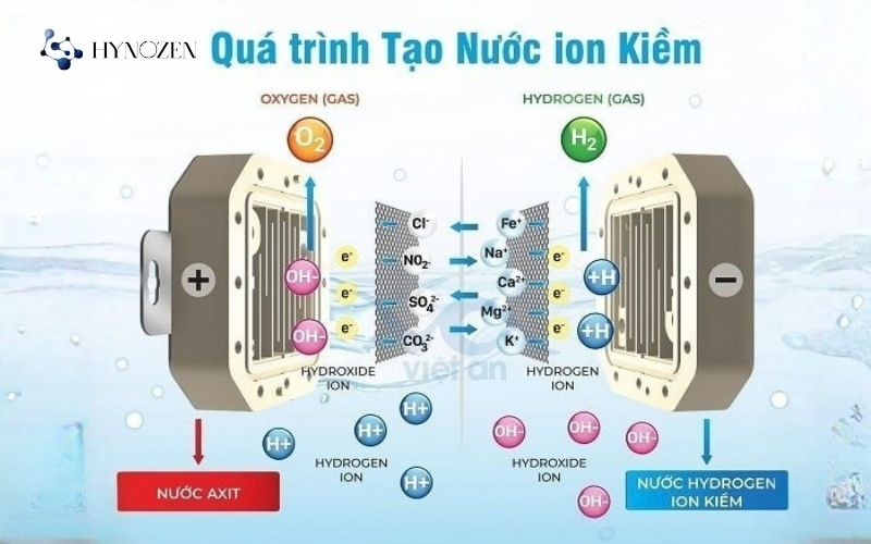 Cách hình thành nước ion kiềm giàu hydrogen