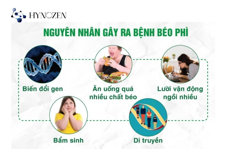 Nguyên nhân dẫn đến béo phì