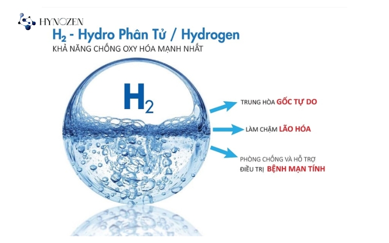 Cơ chế giúp chống gốc tự do của hydro